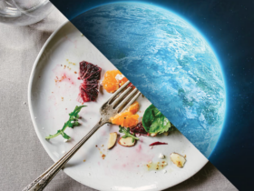 Visual Representation of food wastage and planet | Credits: Google